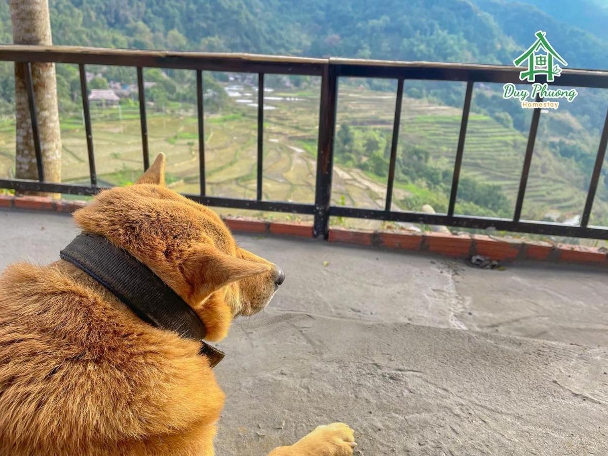 Pu Luong - Duy Phuong Homestay Thanh Hóa Kültér fotó